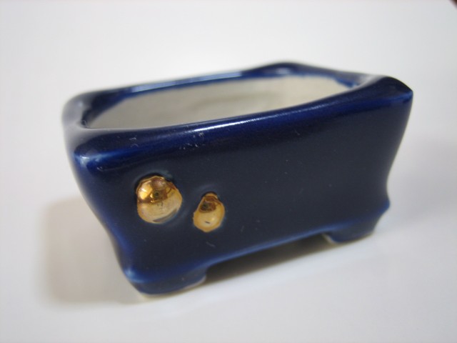コバルト釉金飛ばし長方直足鉢（正面）