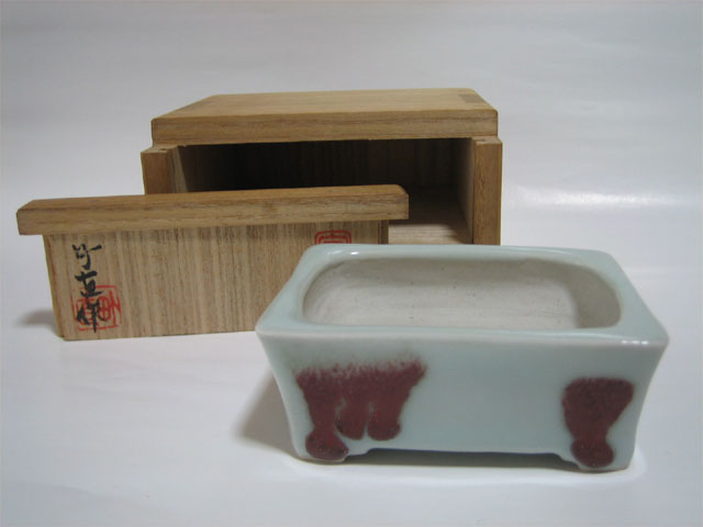 青磁釉飛辰砂長方浅型鉢（正面）